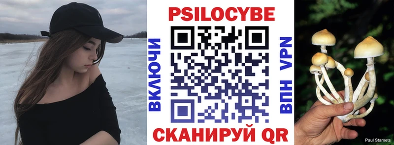 Галлюциногенные грибы Psilocybine cubensis  blacksprut зеркало  это состав  Калач 